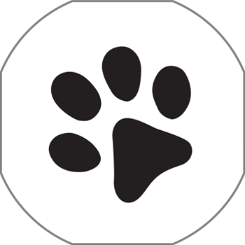 veterinaria